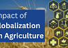 Impact of Globalization on Agriculture